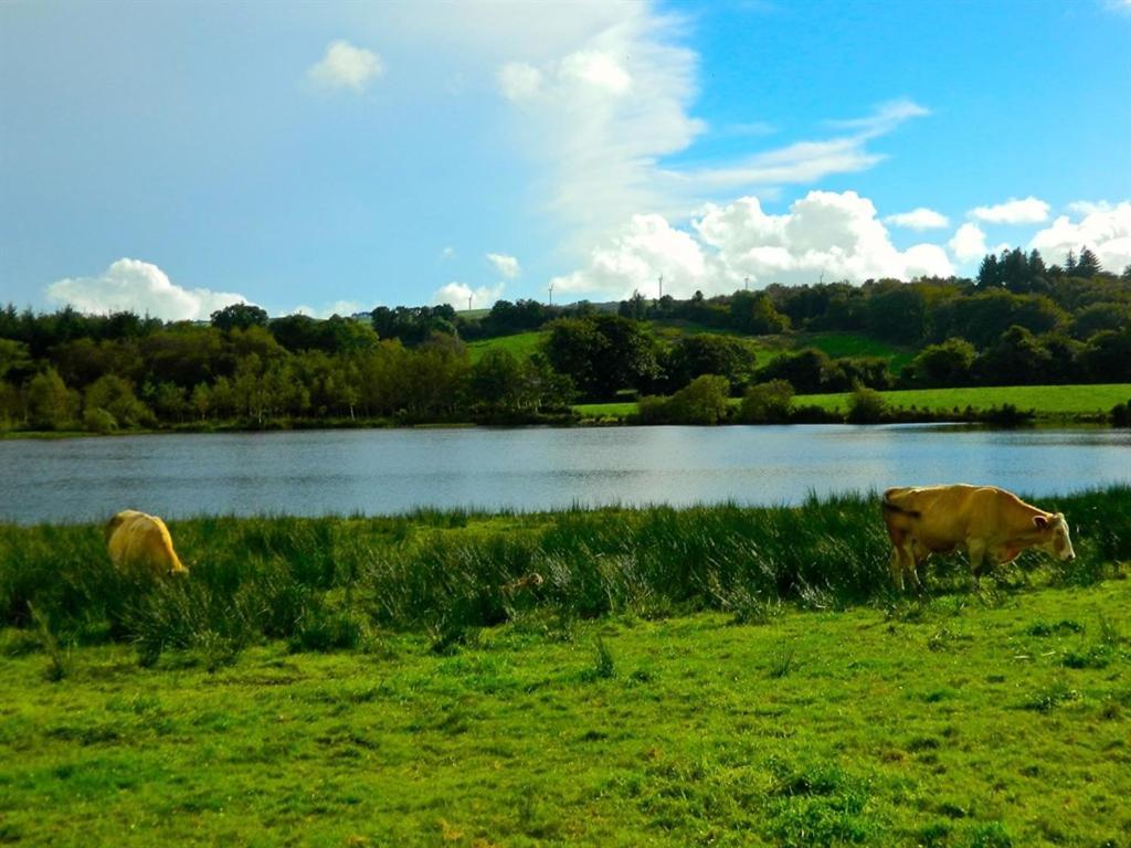 Lake House Dunmanway エクステリア 写真