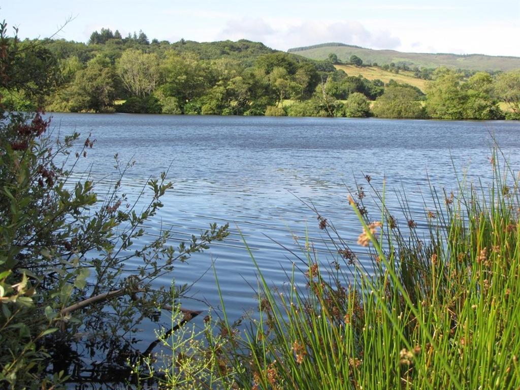 Lake House Dunmanway エクステリア 写真