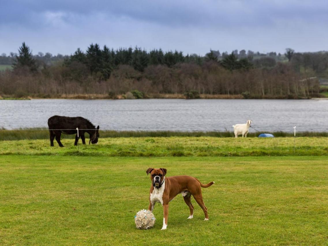 Lake House Dunmanway エクステリア 写真