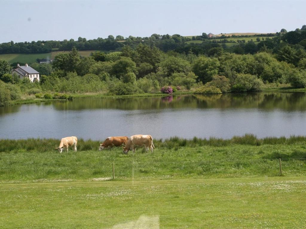 Lake House Dunmanway エクステリア 写真