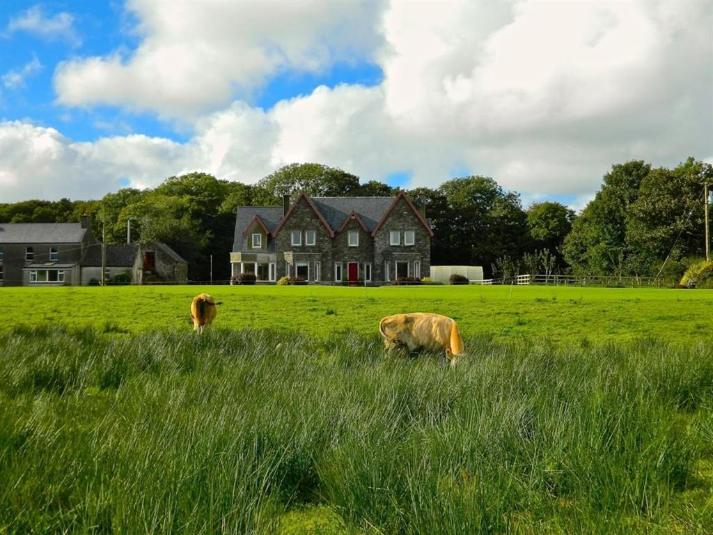 Lake House Dunmanway エクステリア 写真