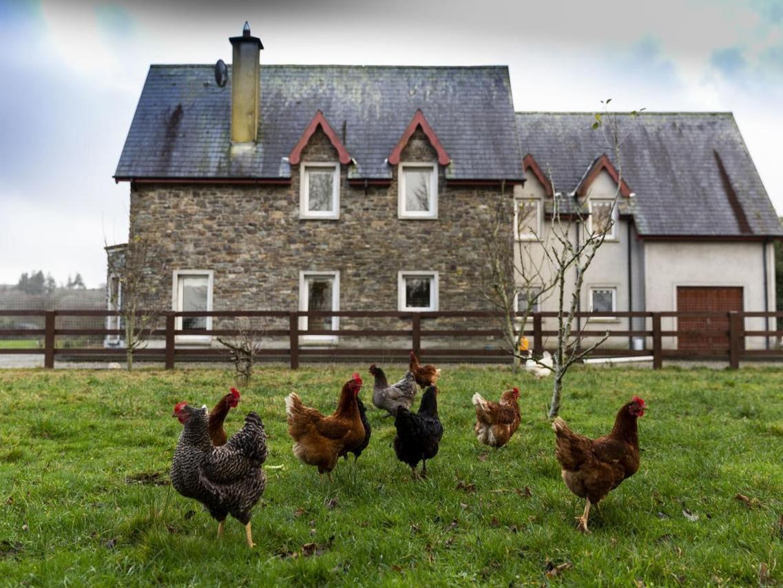 Lake House Dunmanway エクステリア 写真