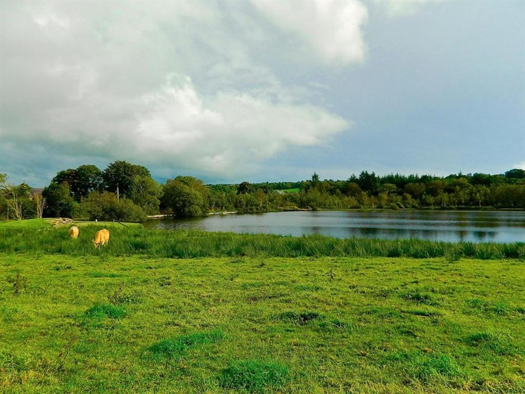 Lake House Dunmanway エクステリア 写真